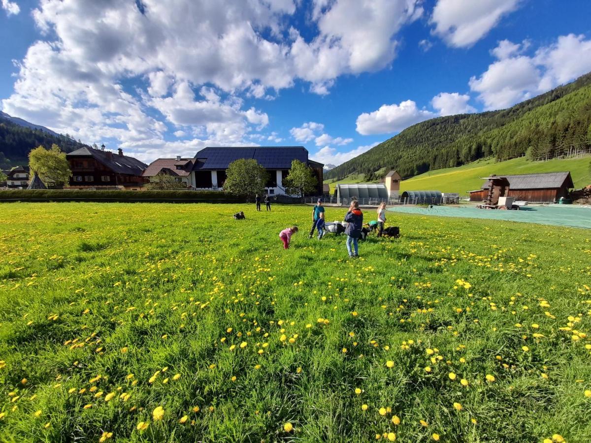 Sonnenchalet Neusess Mauterndorf  Exterior foto